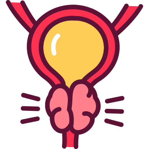 Illustration of an enlarged prostate (BPH) affecting the urinary bladder, representing advanced prostate treatment by Dr. Kalpesh Saswade in Pune.