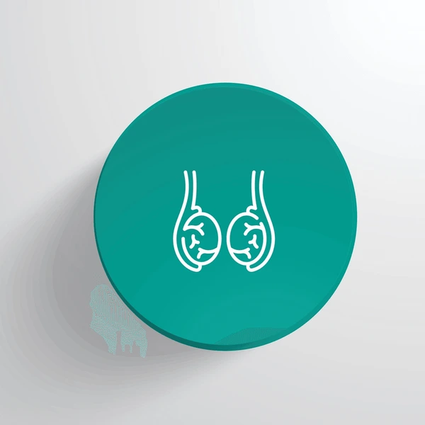 Testicular health icon representing diagnosis and treatment of testicular disorders by Dr. Kalpesh Saswade at Vandana Uro Care in Pune.